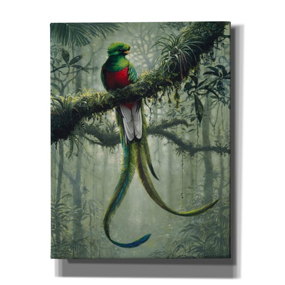 Epic Graffiti 'Resplendent Quetzal 2' by Harro Maass, Canvas Wall Art, 26"x34"