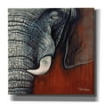 thumbnail image 1 of Epic Graffiti 'Revering Tembo' by Britt Hallowell, Canvas Wall Art, 26"x26", 1 of 3