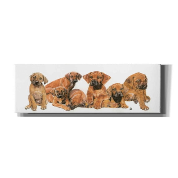 Epic Graffiti 'Rhodisian Ridgeback Puppies' by Barbara Keith, Canvas Wall Art, 60"x20"