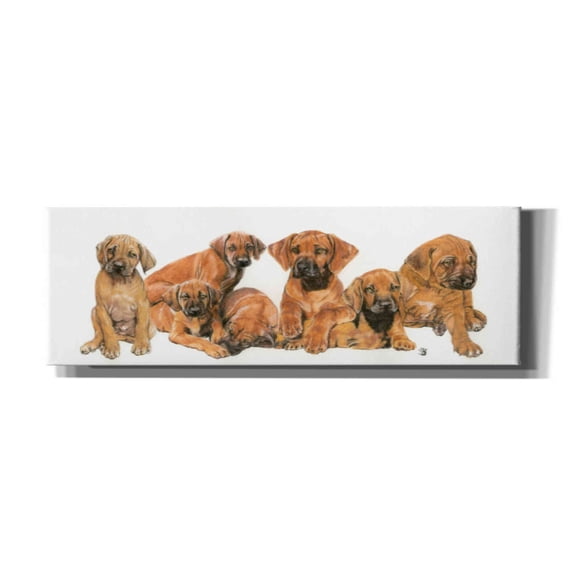 Epic Graffiti 'Rhodisian Ridgeback Puppies' by Barbara Keith, Canvas Wall Art, 60"x20"