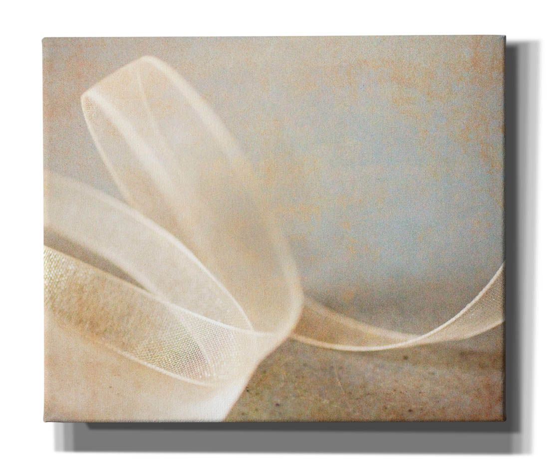 Epic Graffiti 'Ribbon' by Jessica Rogers, Canvas Wall Art, 24