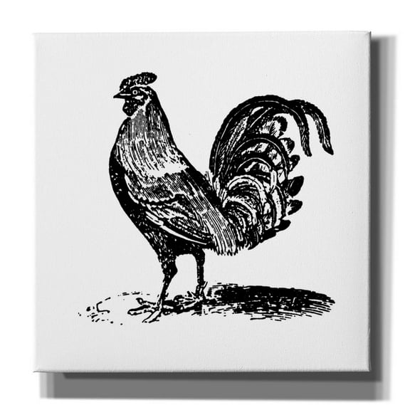Epic Graffiti 'Rooster Ready'  by Art Licensing Studio Canvas Wall Art, 26" x 26"