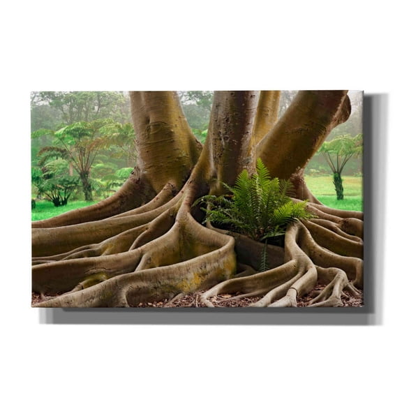 Epic Graffiti 'Roots Sarasots Big Tree' by Mike Jones, Giclee Canvas Wall Art, 40"x26"