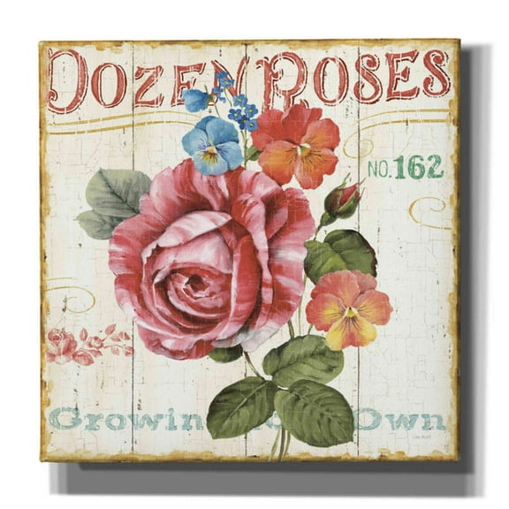 Epic Graffiti 'Rose Garden II' by Lisa Audit, Canvas Wall Art, 26"x26"