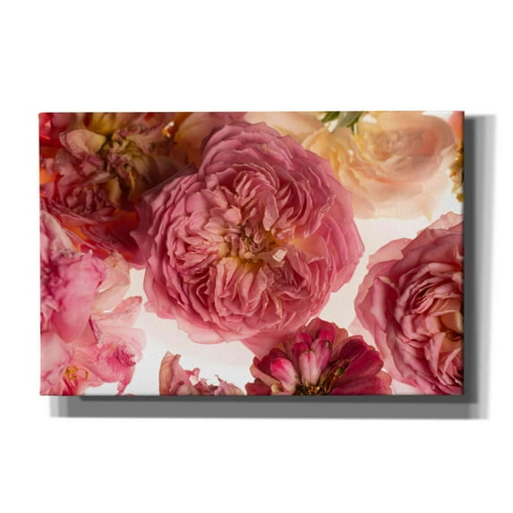 Epic Graffiti 'Rose on White' by Leah McLean,, 18"x12"