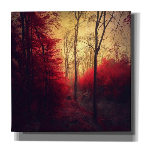 Epic Graffiti 'Ruby Red Forest' by Dirk Wustenhagen Canvas Wall Art, 37" x 37"