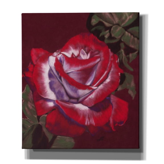 Epic Graffiti 'Ruby' by Barbara Keith, Canvas Wall Art, 26"x30"