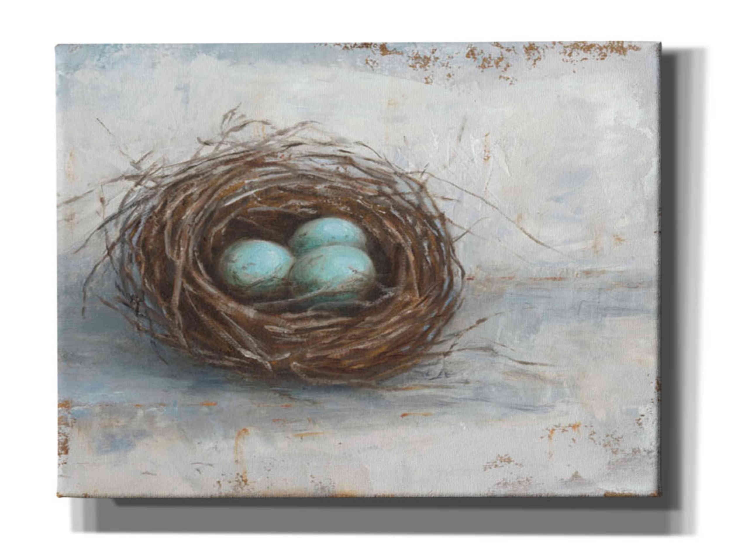 Rustic Bird Nest Canvas Wall Art, 16" x 12", Brown and Blue