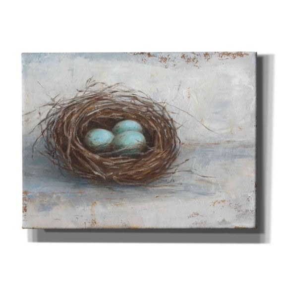Epic Graffiti 'Rustic Bird Nest I' by Ethan Harper Giclee Canvas Wall Art, 16"x12" 16 x 12