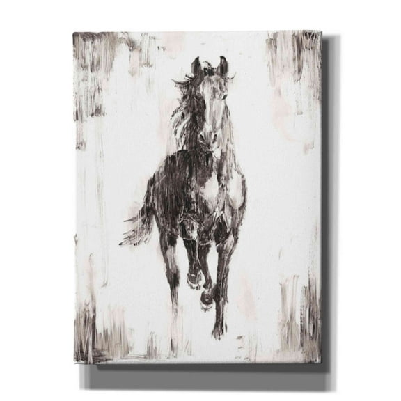 Epic Graffiti 'Rustic Black Stallion I' by Ethan Harper Canvas Wall Art, 12"x16"