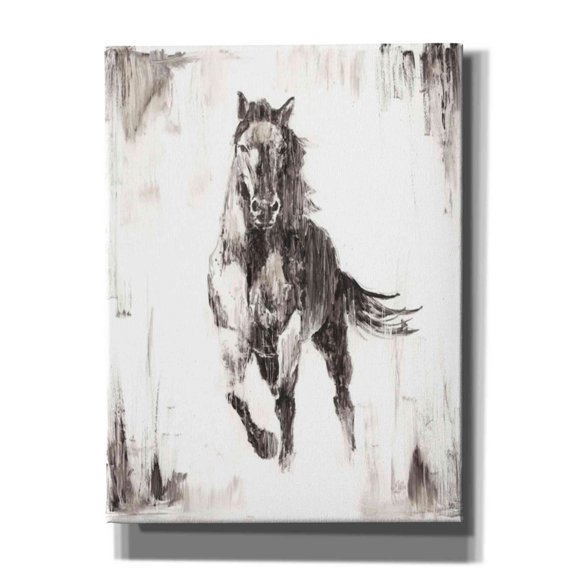Epic Graffiti 'Rustic Black Stallion II' by Ethan Harper Canvas Wall Art, 18"x26"