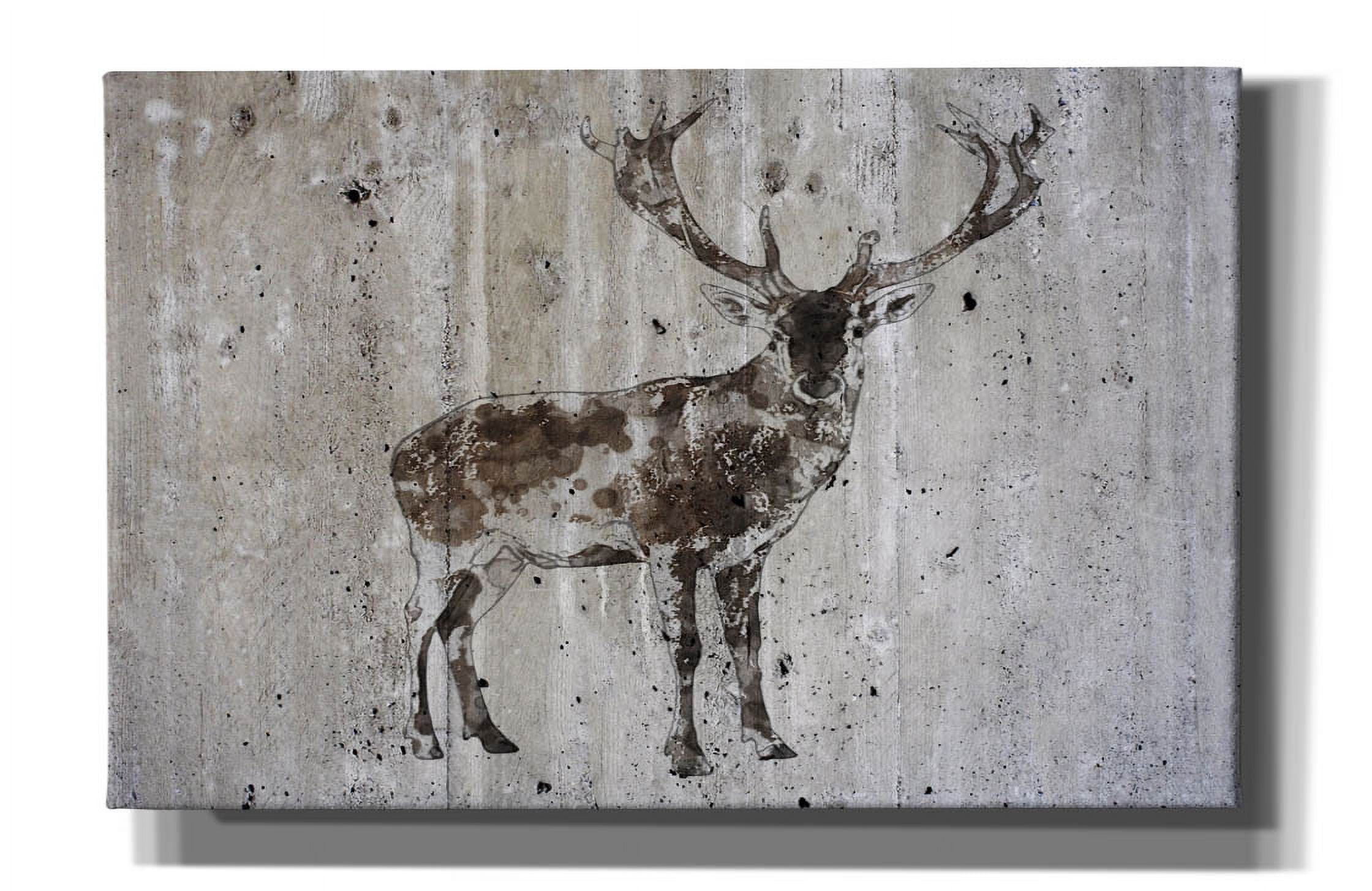 Rustic Graffiti Epic Graffiti 'Rustic Deer 3' by Irena Orlov, Canvas Wall Art, 40
