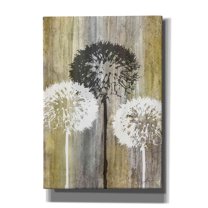 Epic Graffiti 'Rustic Garden II' by James Burghardt, Canvas Wall Art, 18"x26"
