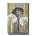 thumbnail image 1 of Epic Graffiti 'Rustic Garden II' by James Burghardt, Canvas Wall Art, 40"x60", 1 of 3