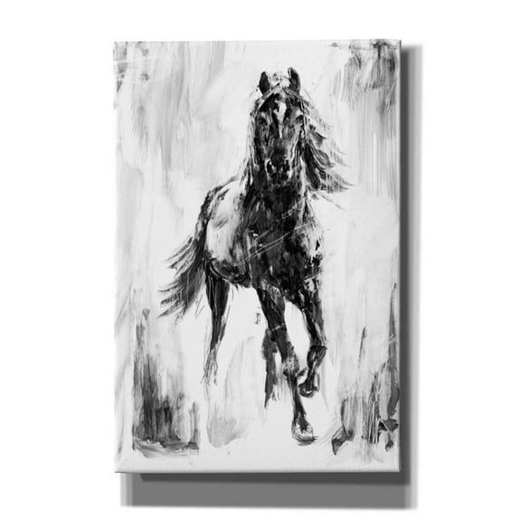 Epic Graffiti 'Rustic Stallion I' by Ethan Harper Canvas Wall Art, 18"x26"