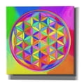 thumbnail image 1 of Epic Graffiti 'Sacred Geo Flower of Life' by Howie Green, Canvas Wall Art, 26"x26", 1 of 8