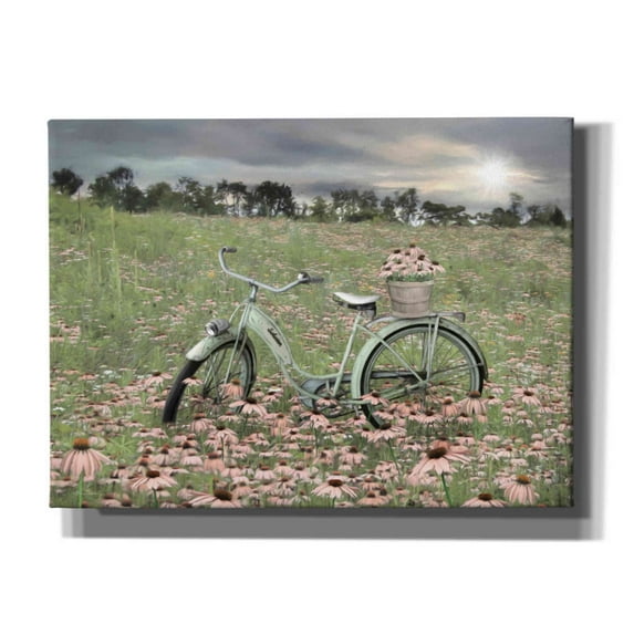 Epic Graffiti 'Sagebrush Bicycle' by Lori Deiter, Canvas Wall Art, 54"x40"