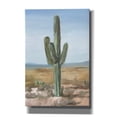 thumbnail image 1 of Epic Graffiti 'Saguaro Cactus Study 1' by Ethan Harper Canvas Wall Art, 40" x 60", 1 of 8