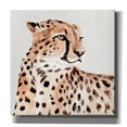 thumbnail image 1 of Epic Graffiti 'Saharan Cheetah I' by Annie Warren, Giclee Canvas Wall Art, 37"x37", 1 of 8