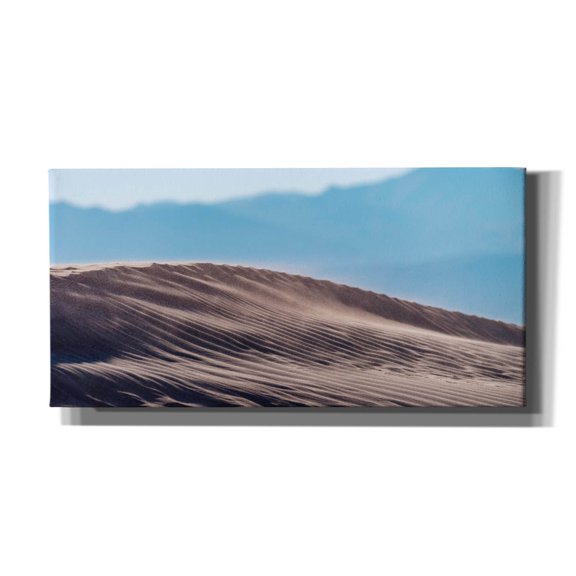 Epic Graffiti 'Sand Dune Spine' by Epic Portfolio Canvas Wall Art, 60" x 30"