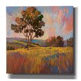 thumbnail image 1 of Epic Graffiti 'Sandhills 2' by Graham Reynolds, Canvas Wall Art, 26"x26", 1 of 2