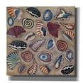 thumbnail image 1 of Epic Graffiti 'Sea Shells- Square' by Carissa Luminess, Canvas Wall Art, 18"x18", 1 of 2