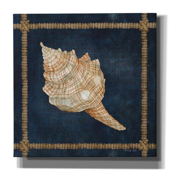 Epic Graffiti 'Seashell on Navy IV' by Cindy Jacobs, Canvas Wall Art, 26"x26"