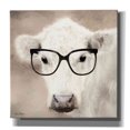 thumbnail image 1 of Epic Graffiti 'See Clearly Cow' by Lori Deiter, Canvas Wall Art, 26"x26", 1 of 8