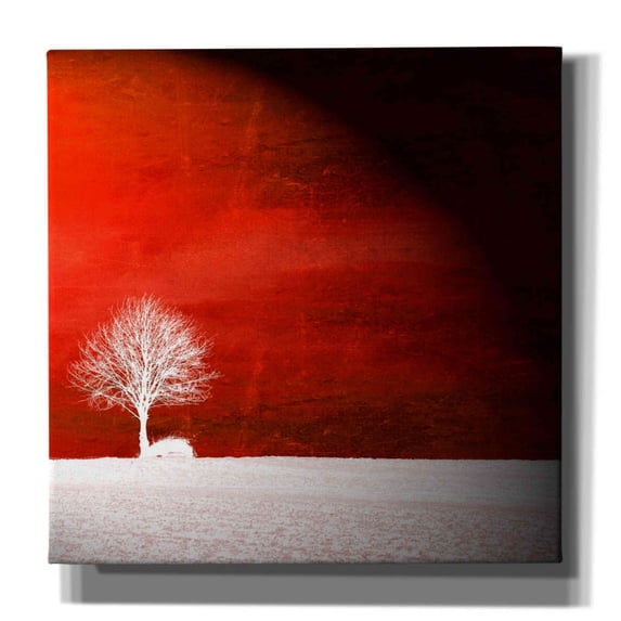 Epic Graffiti 'Sensation' by Philippe Sainte-Laudy, Canvas Wall Art, 18"x18"