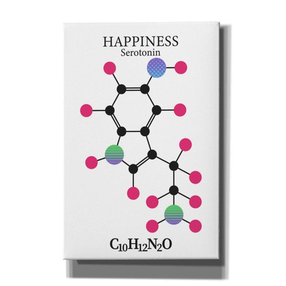 Epic Graffiti 'Serotonin Molecule' by Epic Portfolio, Giclee Canvas Wall Art, 12"x18"