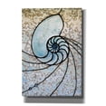 thumbnail image 1 of Epic Graffiti 'Shell' by Rita Shimelfarb, Giclee Canvas Wall Art, 18"x26", 1 of 8