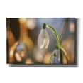 thumbnail image 1 of Epic Graffiti 'Shining Beauty' by Martin Podt, Canvas Wall Art, 18"x12", 1 of 2