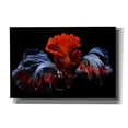 thumbnail image 1 of Epic Graffiti 'Siamese Fighting Fish' by Epic Portfolio Giclee Canvas Wall Art, 60"x40", 1 of 8