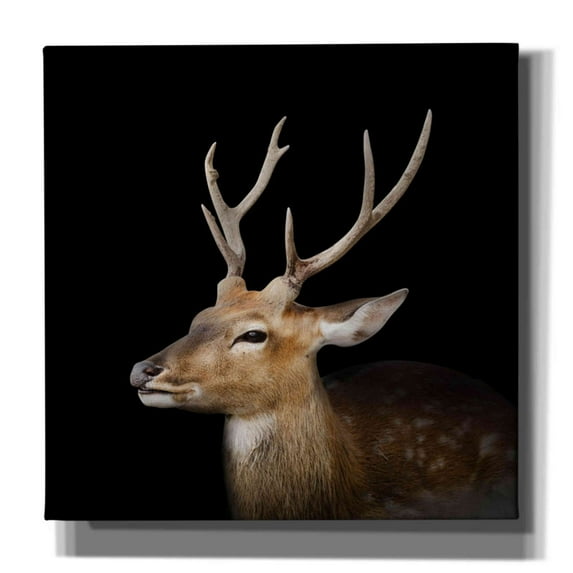 Epic Graffiti 'Sika Deer' by Epic Portfolio Giclee Canvas Wall Art, 26"x26"