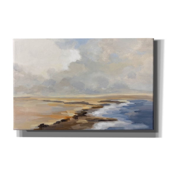 Epic Graffiti 'Silver Cloud' by Silvia Vassileva Canvas Wall Art, 40" x 26"