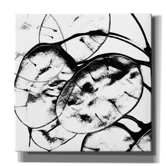 Epic Graffiti 'Silver Dollars 2'  by Erin Clark Canvas Wall Art, 18" x 18"