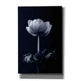 thumbnail image 1 of Epic Graffiti 'Single Flower' by Incado, Giclee Canvas Wall Art, 40"x60", 1 of 8
