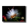 thumbnail image 1 of Epic Graffiti 'Snow Flower' by Dana Brett Munach, Canvas Wall Art, 18"x12", 1 of 8