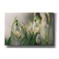 thumbnail image 1 of Epic Graffiti 'Snowdrops' by Martin Podt, Canvas Wall Art, 18"x12", 1 of 2
