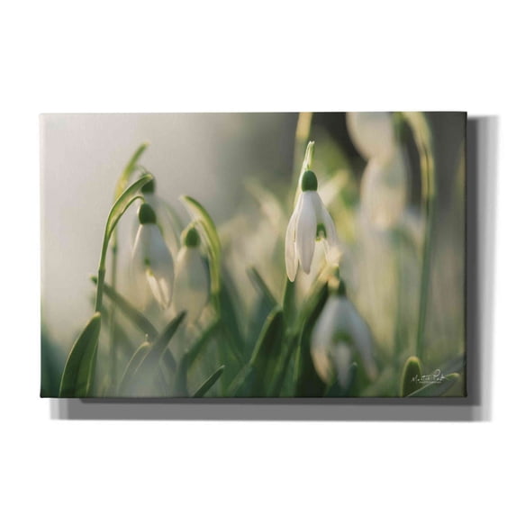 Epic Graffiti 'Snowdrops' by Martin Podt, Canvas Wall Art, 18"x12"