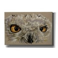 thumbnail image 1 of Epic Graffiti 'Snowy Owl' by Barbara Keith, Canvas Wall Art, 26"x18", 1 of 2