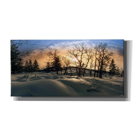 Epic Graffiti 'Snowy Sunrise' by Grace Fine Arts Photography, Canvas Wall Art, 60"x30"