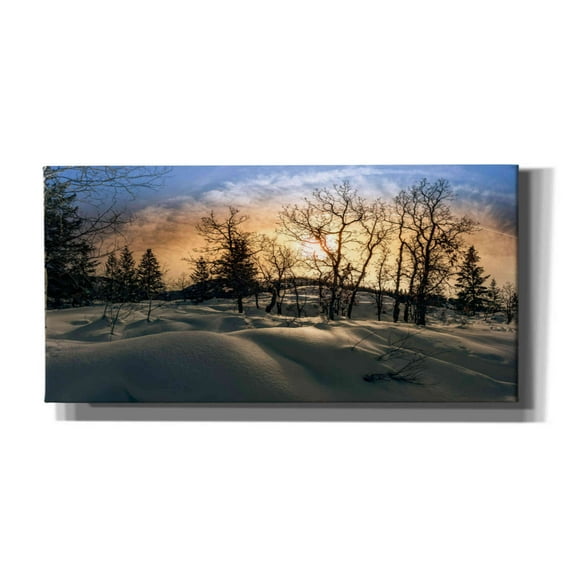 Epic Graffiti 'Snowy Sunrise' by Grace Fine Arts Photography, Canvas Wall Art, 60"x30"