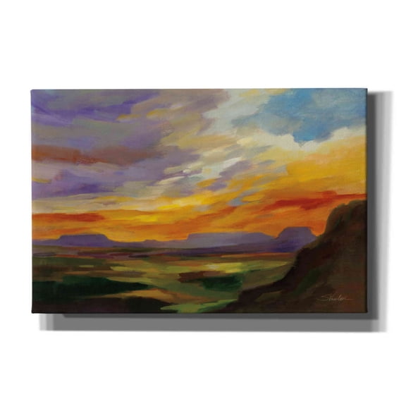 Epic Graffiti 'Sonoran Desert Sunset' by Silvia Vassileva, Canvas Wall Art, 18"x12"