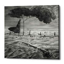 Epic Graffiti  "Sower" by Dariusz Klimczak, Giclee Canvas Wall Art, 12"x12" 18" x 18"