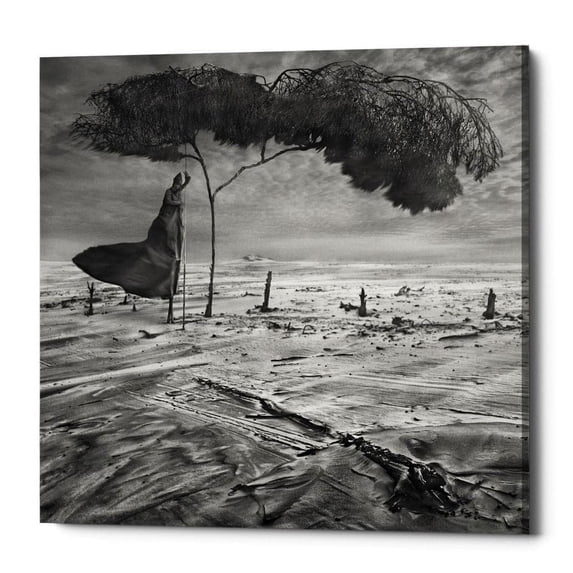 Epic Graffiti "Sower" by Dariusz Klimczak, Giclee Canvas Wall Art, 12"x12" 26" x 26"