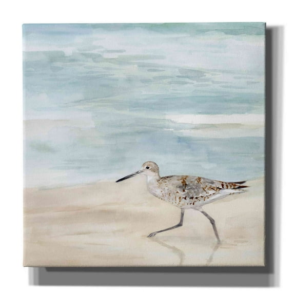 Epic Graffiti 'Speckled Willet II' by Victoria Borges, Canvas Wall Art, 37"x37"