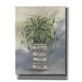 thumbnail image 1 of Epic Graffiti 'Spider Plant in Pottery' by Julie Norkus, Giclee Canvas Wall Art, 12"x16", 1 of 8