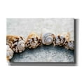 thumbnail image 1 of Epic Graffiti 'Spiral Seashells' by Elena Ray, Canvas Wall Art, 40"x26", 1 of 8