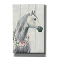 thumbnail image 1 of Epic Graffiti 'Spirit Stallion I on wood' by James Wiens, Canvas Wall Art, 40"x60", 1 of 8